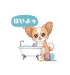 パピヨン犬 一年スタンプ あると助かる編（個別スタンプ：5）