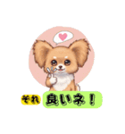 パピヨン犬 一年スタンプ あると助かる編（個別スタンプ：7）