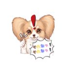 パピヨン犬 一年スタンプ あると助かる編（個別スタンプ：8）