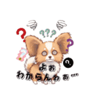 パピヨン犬 一年スタンプ あると助かる編（個別スタンプ：11）