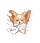 パピヨン犬 一年スタンプ あると助かる編（個別スタンプ：12）