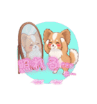 パピヨン犬 一年スタンプ あると助かる編（個別スタンプ：14）