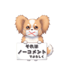 パピヨン犬 一年スタンプ あると助かる編（個別スタンプ：16）