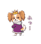 パピヨン犬 一年スタンプ あると助かる編（個別スタンプ：19）
