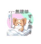 パピヨン犬 一年スタンプ あると助かる編（個別スタンプ：25）