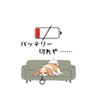 パピヨン犬 一年スタンプ あると助かる編（個別スタンプ：26）