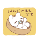 おもちねこスタンプ詰め合わせ（個別スタンプ：5）