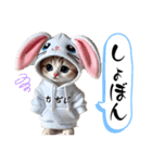 可愛い！着ぐるみ猫の日常スタンプ（個別スタンプ：28）