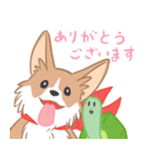 コーギーと亀吉（個別スタンプ：3）