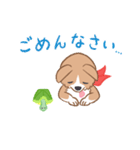 コーギーと亀吉（個別スタンプ：4）
