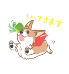 コーギーと亀吉（個別スタンプ：6）