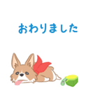 コーギーと亀吉（個別スタンプ：8）