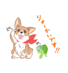 コーギーと亀吉（個別スタンプ：14）