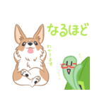 コーギーと亀吉（個別スタンプ：17）