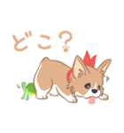 コーギーと亀吉（個別スタンプ：19）