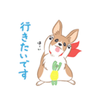コーギーと亀吉（個別スタンプ：20）