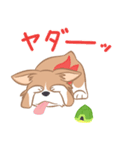 コーギーと亀吉（個別スタンプ：21）