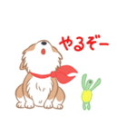 コーギーと亀吉（個別スタンプ：23）