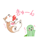コーギーと亀吉（個別スタンプ：25）