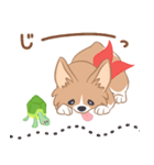 コーギーと亀吉（個別スタンプ：26）