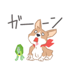 コーギーと亀吉（個別スタンプ：30）