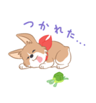 コーギーと亀吉（個別スタンプ：33）