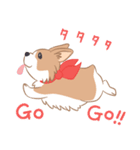コーギーと亀吉（個別スタンプ：36）