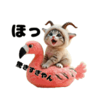 Cute Cats【ゆかいな猫たち】（個別スタンプ：16）
