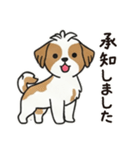 ふわもこシーズーの毎日スタンプ（個別スタンプ：2）