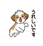 ふわもこシーズーの毎日スタンプ（個別スタンプ：4）