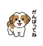 ふわもこシーズーの毎日スタンプ（個別スタンプ：10）