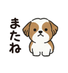 ふわもこシーズーの毎日スタンプ（個別スタンプ：11）