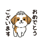ふわもこシーズーの毎日スタンプ（個別スタンプ：14）