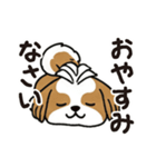 ふわもこシーズーの毎日スタンプ（個別スタンプ：16）