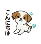 ふわもこシーズーの毎日スタンプ（個別スタンプ：18）