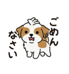 ふわもこシーズーの毎日スタンプ（個別スタンプ：22）