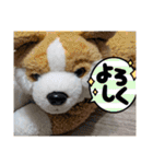 没になったスタンプ＆16の新作スタンプ（個別スタンプ：2）