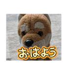 没になったスタンプ＆16の新作スタンプ（個別スタンプ：4）