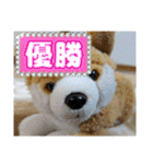 没になったスタンプ＆16の新作スタンプ（個別スタンプ：6）