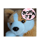 没になったスタンプ＆16の新作スタンプ（個別スタンプ：14）