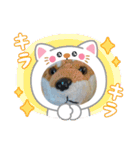 没になったスタンプ＆16の新作スタンプ（個別スタンプ：22）