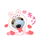 没になったスタンプ＆16の新作スタンプ（個別スタンプ：28）