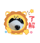 没になったスタンプ＆16の新作スタンプ（個別スタンプ：30）