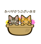 ちびトラきょうだい11【春うらら】（個別スタンプ：10）