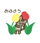ちびトラきょうだい11【春うらら】（個別スタンプ：25）