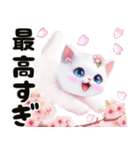 可愛い白子猫とピンクの桜/春のスイーツ（個別スタンプ：11）