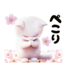 可愛い白子猫とピンクの桜/春のスイーツ（個別スタンプ：23）