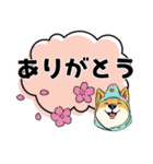 柴犬さん春のスタンプ（個別スタンプ：2）