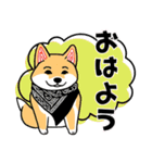 柴犬さん春のスタンプ（個別スタンプ：5）