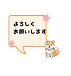 柴犬さん春のスタンプ（個別スタンプ：8）